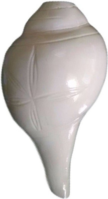 

Divine Temples Designer Polished (9.5 cms) Blowing Shankh(White)