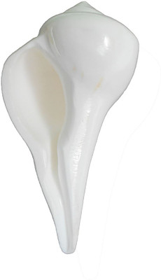 

Divine Temples Dakshinavarti (9 cms) Sacred Shankh(White)