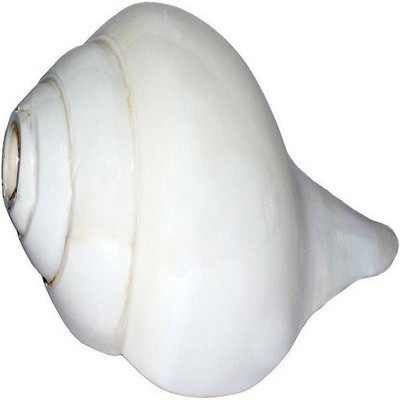

JPKART Blowing Shankh(White)