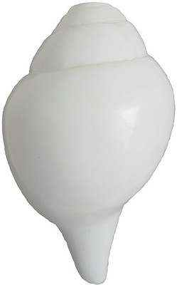 

Divine Temples Vamavarti (16 cms) Blowing Shankh(White)