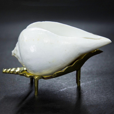 

THE HOLY MART VAAMVARTI ARAGHYA SHANKH (CONCH) Sacred Shankh(White)