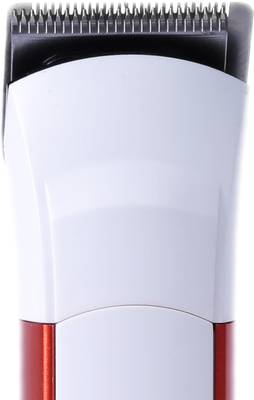 PRITECH Beard PR-1119 Trimmer For Men (orange) 