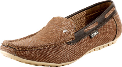 

Zebra Paris Edition Casual shoe For Men(Brown