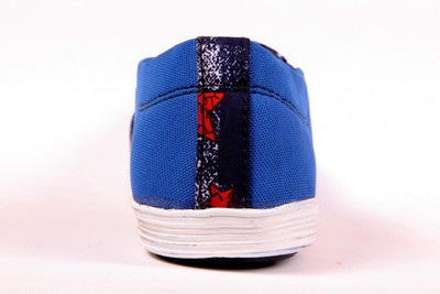 

Shoeppee Canvas Shoes For Men(Blue)