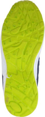 

Porcupine Running Shoes For Men(Blue, Green