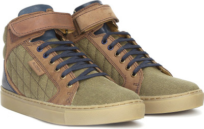 

Ruosh Genuine Leather Mid Ankle Sneakers For Men(Multicolor, Brown