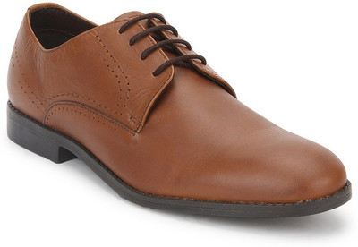 

Arden Oliver Puched Derby Lace Up For Men(Tan