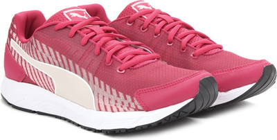

Puma Boys, Rose red-pink dogwood
