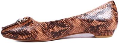 Balujas Bellies