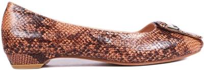 Balujas Bellies