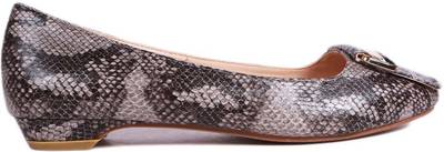 Balujas Bellies