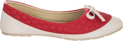 MDR Red Bellies