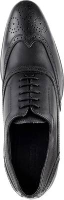 Metro Men's Formal Derby Brogue Lace Up
