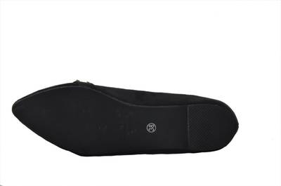 Shuberry SB-016 Bellies