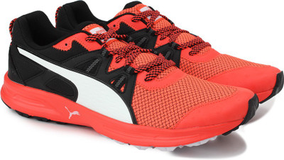 

Puma Descendant TR Training Shoes For Men(Black, Orange, Red blast-puma black-puma white
