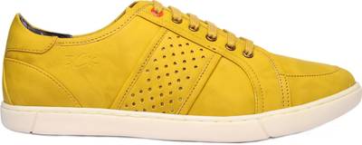 Buckaroo Sneakers