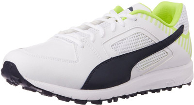 

Puma Team Rubber Cricket Shoes For Men(Multicolor