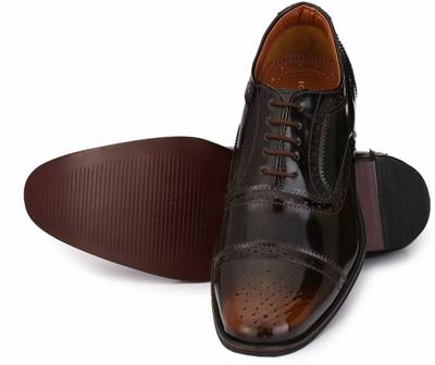 zeboot Classic oxford Lace Up