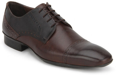 

Arden Brogue Derby Lace Up Shoes For Men(Brown, Blue