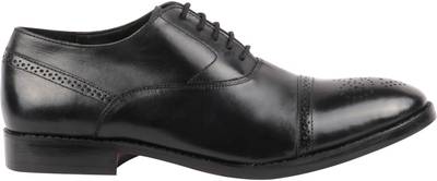 Harrykson Lace Up Shoes
