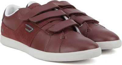 

Diesel Sneakers For Men(Maroon, H6037