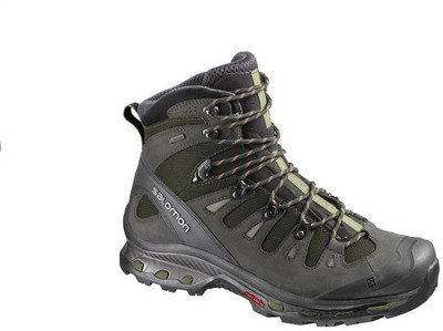 

Salomon Quest 4D 2 Waterproof Hiking & Trekking Shoes For Men(Green
