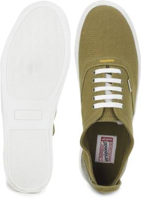 Levi's CANVAS SNEAKER/LACED Sneakers