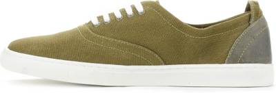 Levi's CANVAS SNEAKER/LACED Sneakers