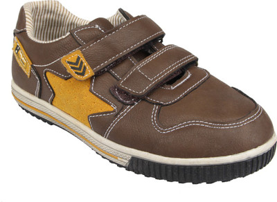 

KITTENS Boys, Light brown