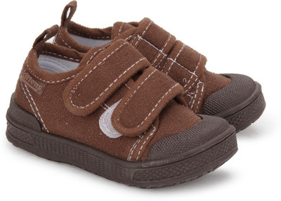 

KITTENS Boys(Brown