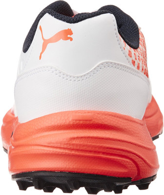 

Puma Cricket Shoes For Men(Multicolor