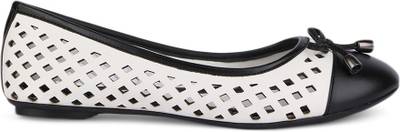 Chemistry Contrast Toe Bellies