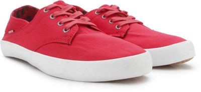 Levi's Men Sneakers For Men(Blue