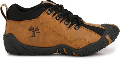 Afrojack pasco Sneakers