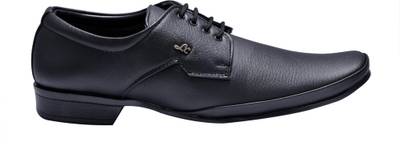 Prolific Agree Lace Up