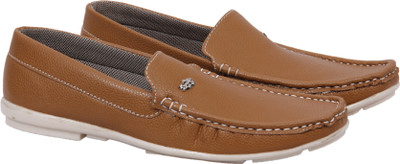 

RTF Canvas Shoes For Men(Multicolor, Brown