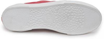 CUBEBRO Canvas Shoes, Casuals, Sneakers