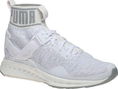 

Puma IGNITE evoKNIT Outdoors For Men(Grey