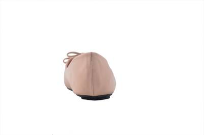 Shuberry SB-209 Tan Bellies