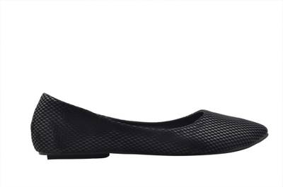 Shuberry SB-210 Navy Bellies