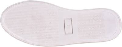 Gekko Sneakers