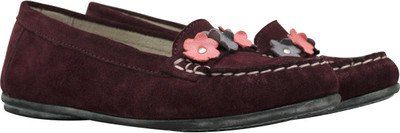 50% OFF on VAPH Girls(Maroon) 50% OFF on VAPH Girls(Maroon)