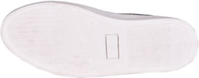 Gekko Sneakers