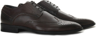 

Provogue Lace Up Shoes For Men(Brown