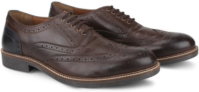 

Knotty Derby Burbage Brogue Corporate Casuals For Men(Blue, Brown