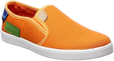 

Stylon Boys(Orange, Multicolour