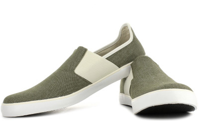 

Puma Lazy Slip On Ind burnt olive-whisper whi Sneakers For Men(Green), Burnt olive;whisper white