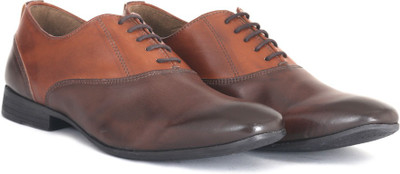 

Knotty Derby Alastor Oxford Lace up For Men(Brown, Brown+tan