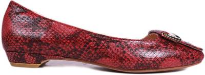 Balujas Bellies