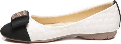 Elan Bellies